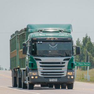 Servicios de Transporte de Mudanzas